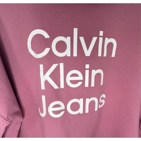 Calvin Klein Jeans Pink and White Cropped Graphic Hoodie - Picture 2 of 5